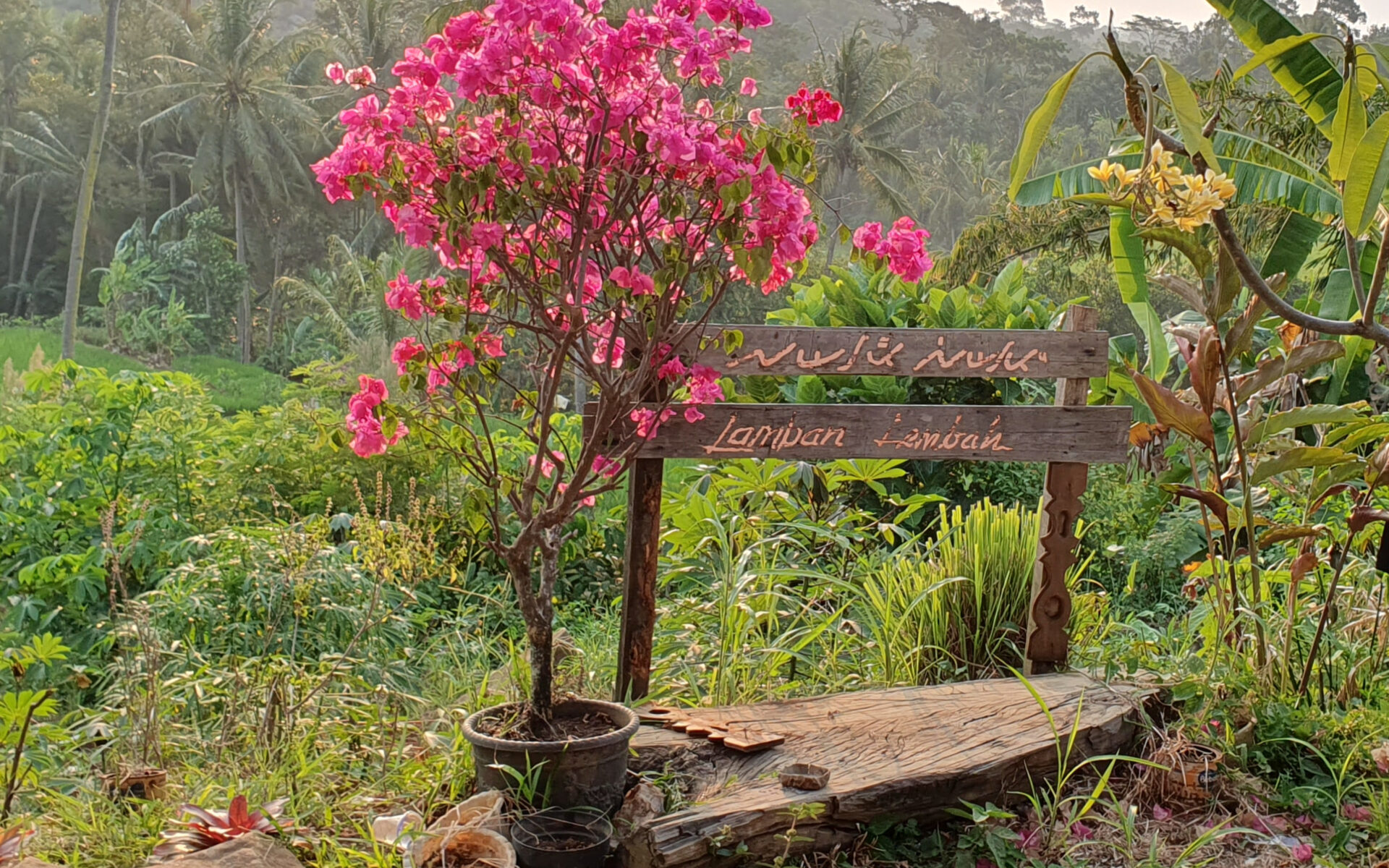 A sign in Lampung and Latin